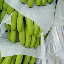 云南西双版纳香蕉品种多多口感好价钱实惠果面干净