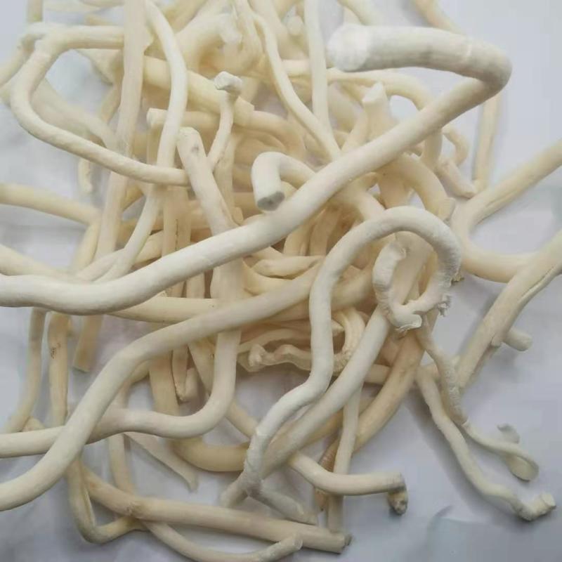 小通草中药材批发小通草