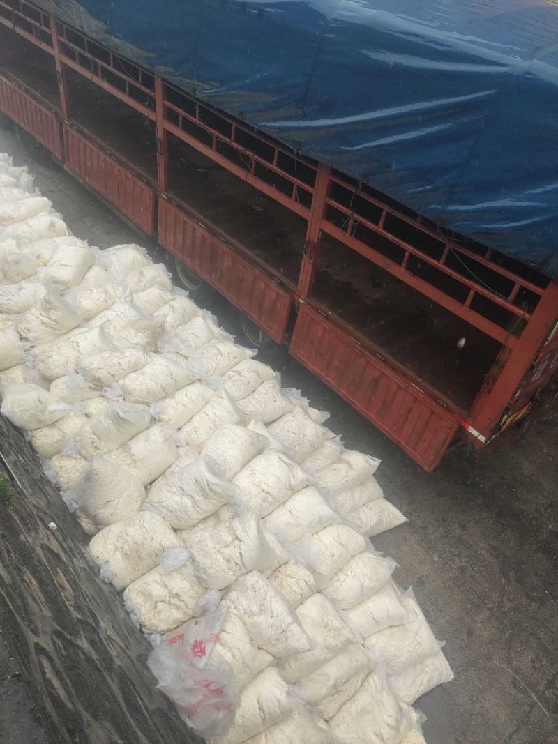 新鲜豆腐渣加工成猪牛羊鱼饲料鸭饲料很好，正宗绿色食品！