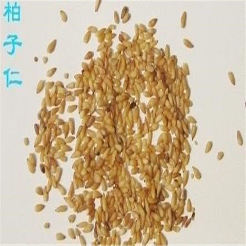 野生中药材柏子仁粉柏米粉新货打粉散装包邮