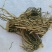 藜芦，中药材藜芦质量保证，经营各种中药材欢迎咨询合作！