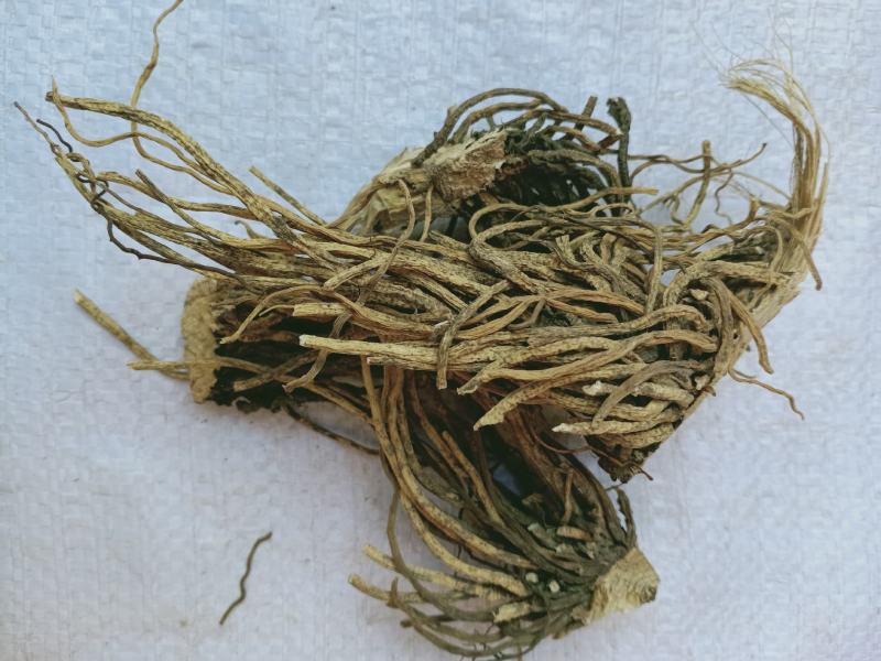 藜芦，中药材藜芦质量保证，经营各种中药材欢迎咨询合作！