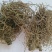 红毛七，正品野生红毛七质量保证经营各种中药材欢迎咨询合作