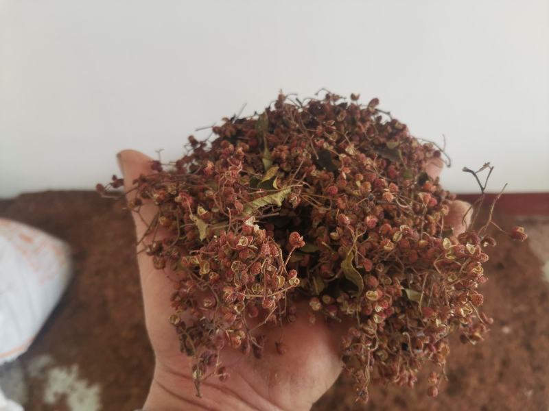 自家产山东大红袍花椒。