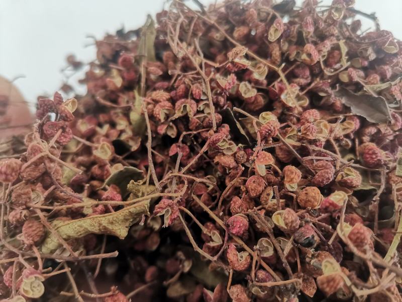 自家产山东大红袍花椒。