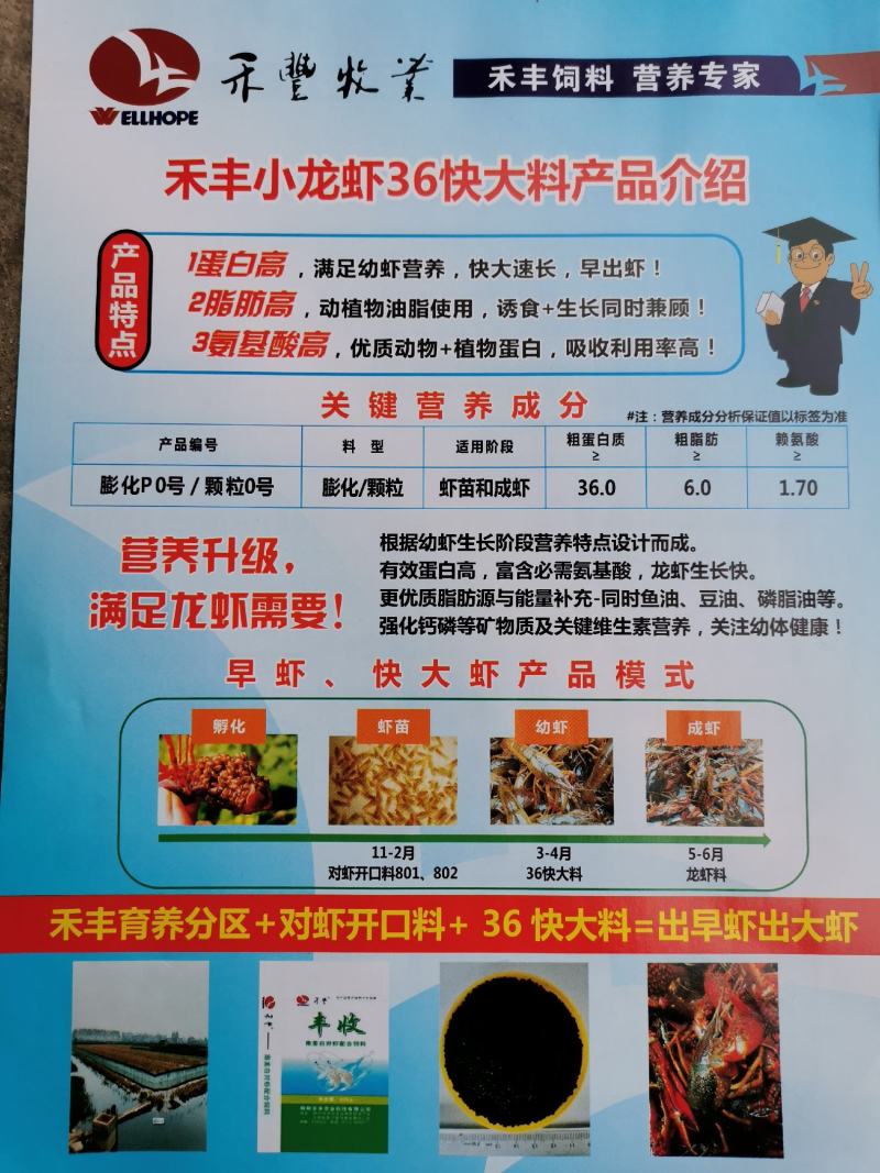 荆州禾丰小龙虾膨化饲料虾蟹澳龙混养精养整车吨