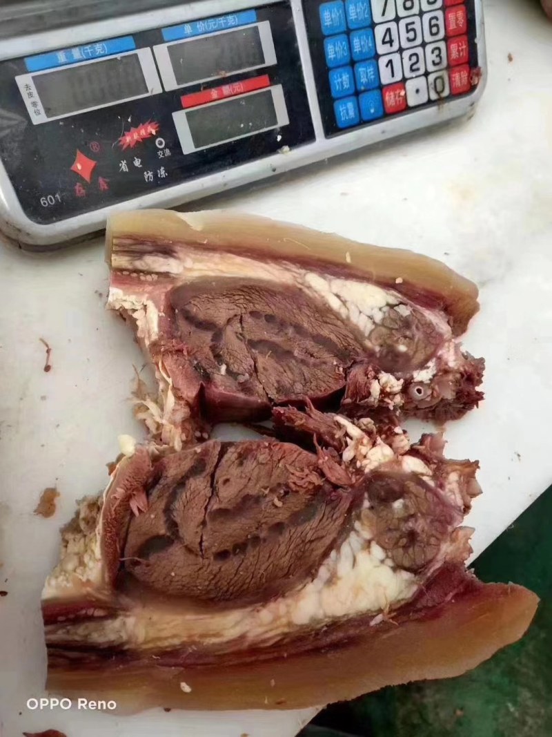 熟牛头肉，单个包装，熟度高，可以做小包装常年供应大量现货