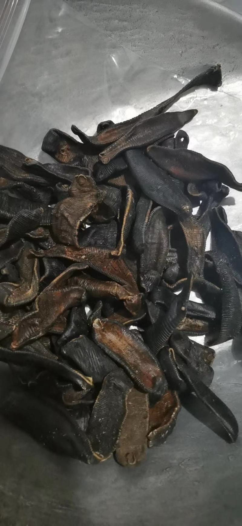 【包邮】水蛭蚂蟥水蛭干水蛭粉清水水蛭金边水蛭水蛭