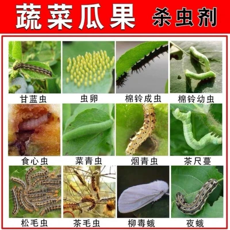 新景象截剑道苏云金杆菌蔬菜棉铃虫甜菜夜蛾核型多角体病毒类