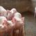 贵州仔猪三元仔猪养殖场猪场现抓体型好品种纯好饲养