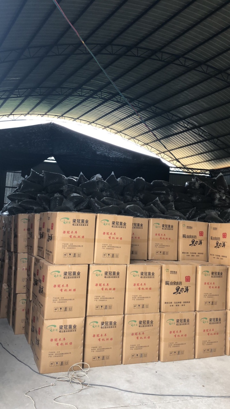 发泡专用云南梁河冬木耳（高山中喝山泉水的黑木耳，发泡率16