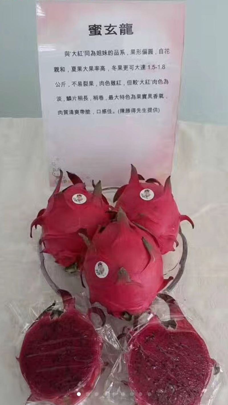 蜜玄龙原枝种苗蜜玄龙种苗35-45公分甜度24左右包活包