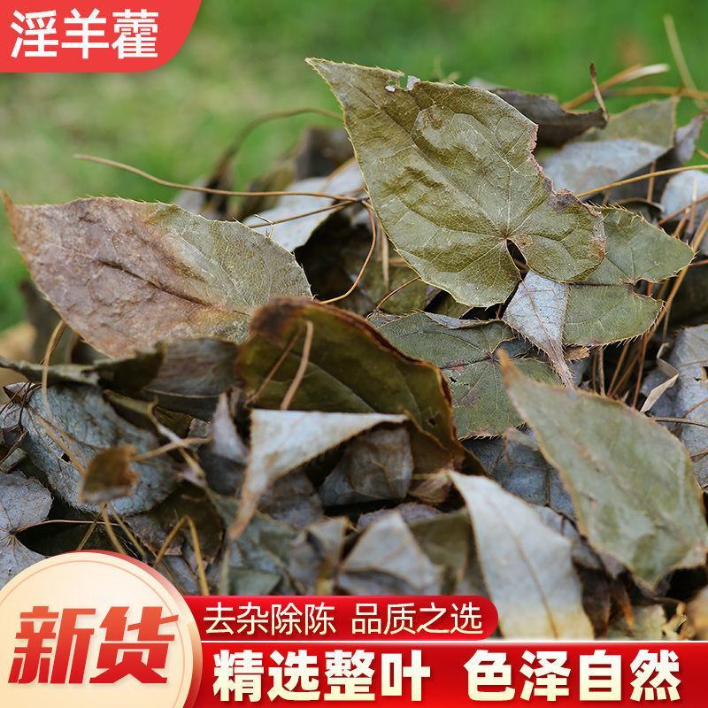 淫羊藿叶洋火叶淫羊藿洋火叶淫羊藿仙灵脾泡酒