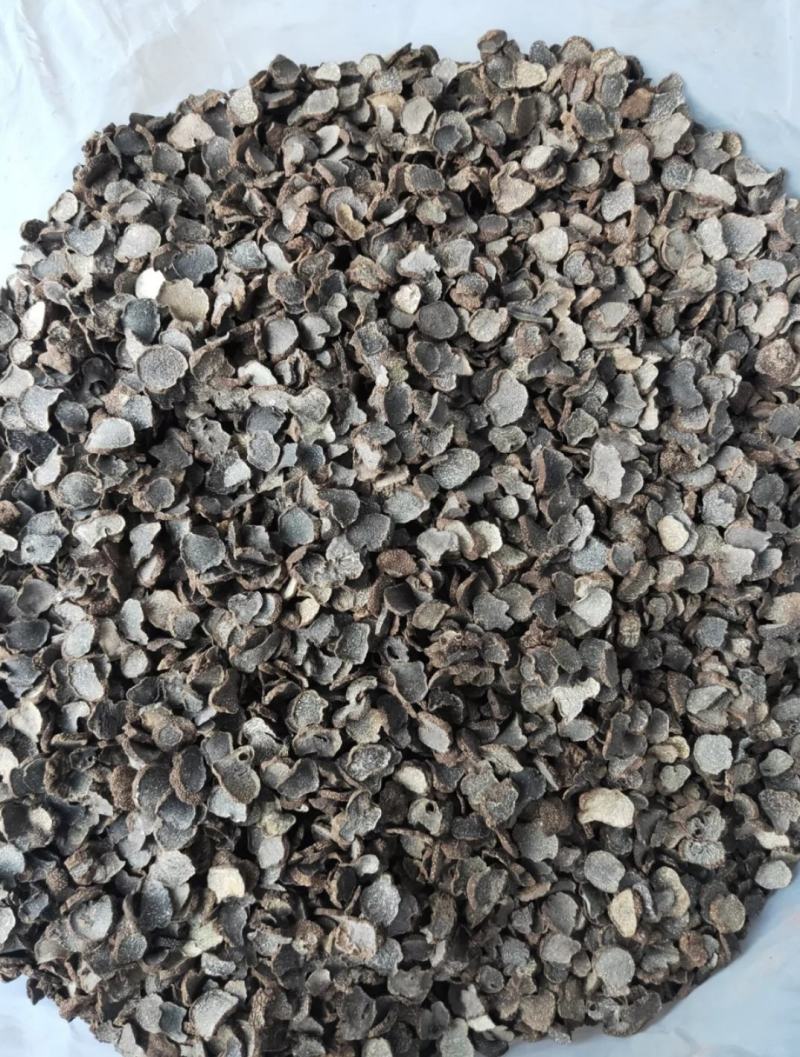 【包邮】云南黑松露菌干货成熟松露菌干片块菌猪拱菌
