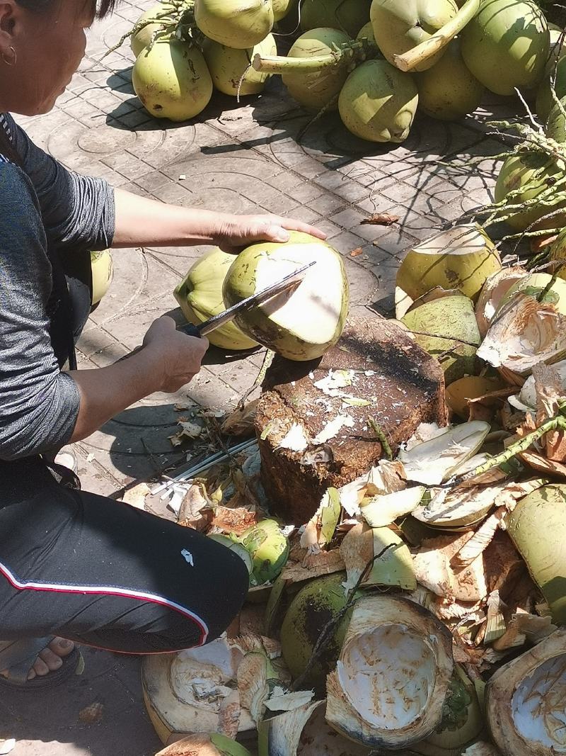 椰子椰青红椰现摘上量