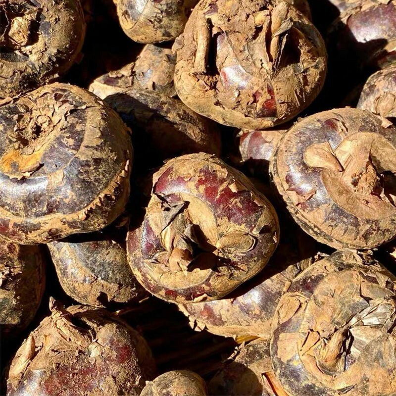 新鲜马蹄荸荠甜清脆多汁农家自种直发