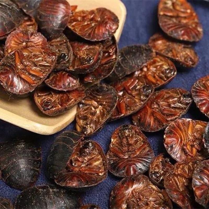 土元土鳖虫药用统货精选当天发货