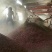 杜酱熊猫（酣熊）茅台镇酱香型53度纯粮食坤沙老酒