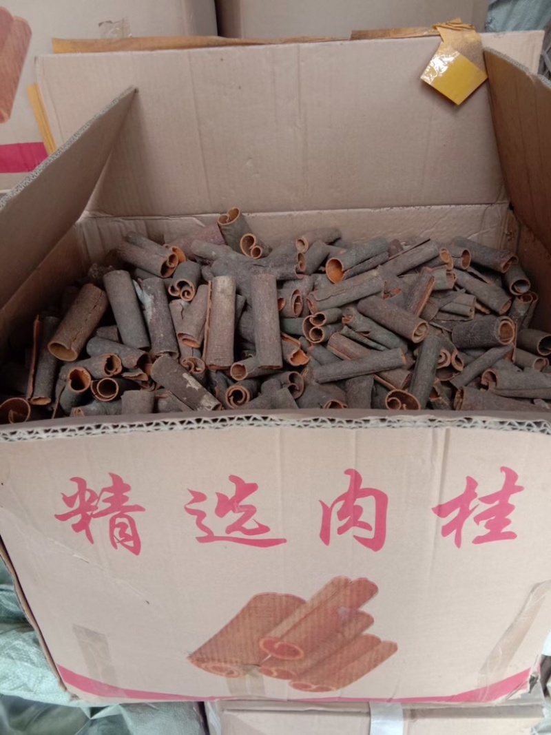 黄通肉桂刮皮黄通烟通桂丝规格齐全广西产地直发足干大量可淡