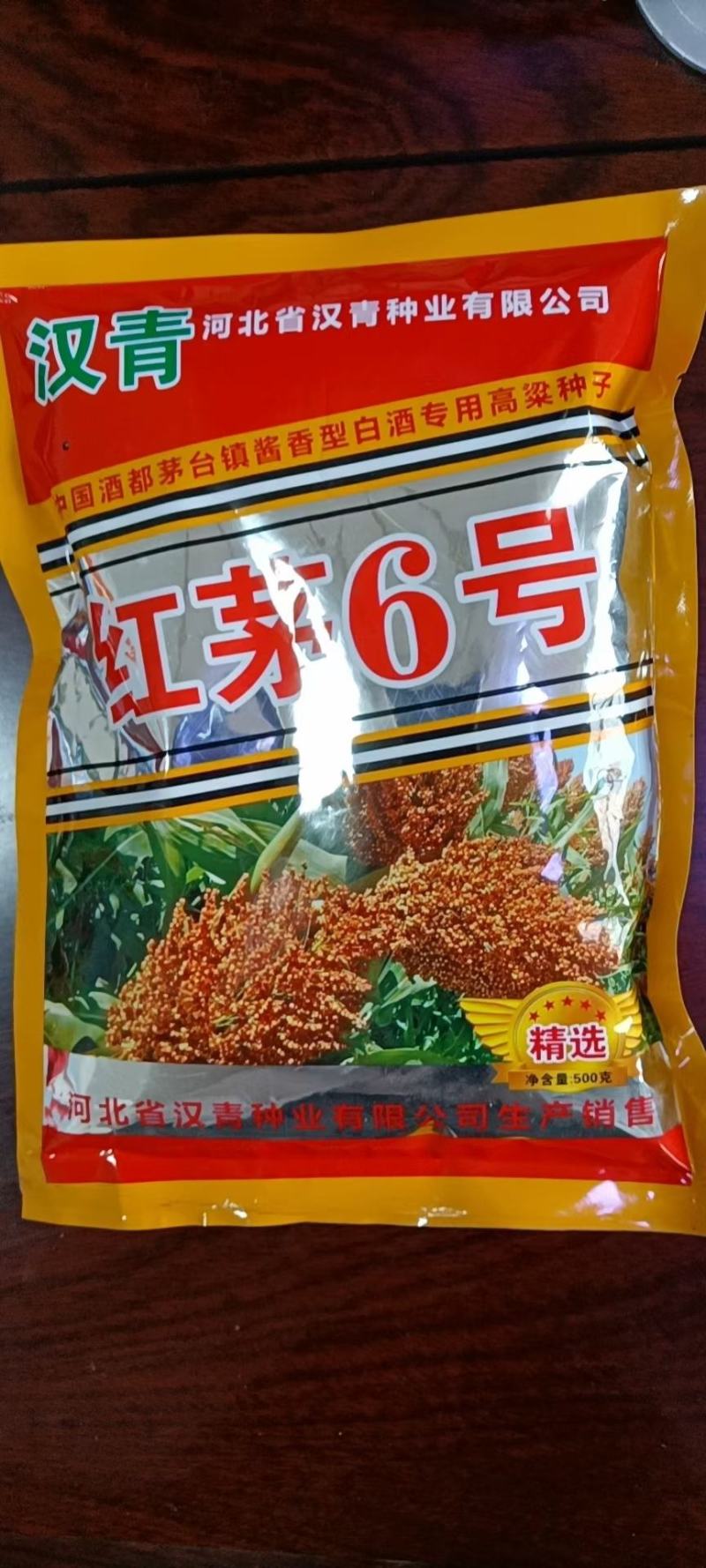 汉青种业有限公司——红茅六号积温2700，株高一米七