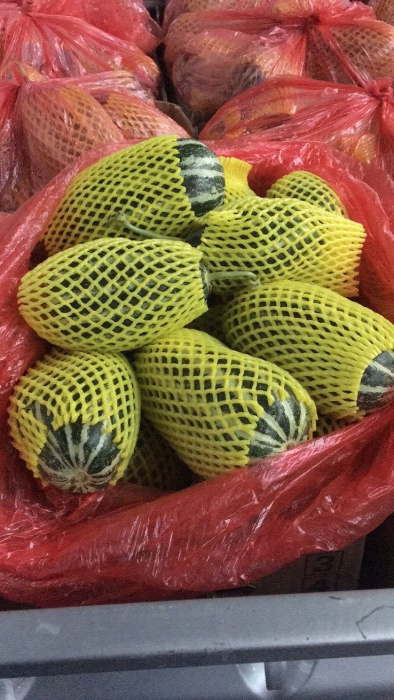 山东博洋9⃣️甜瓜嘎嘎脆甜大量上市诚信代办实力发货大量有货