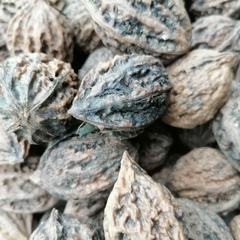 山核桃药用干货山核桃皮厚仁少农副产品