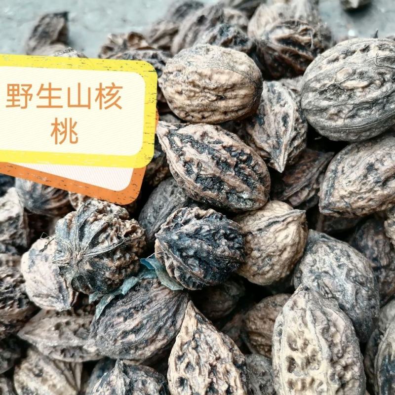 山核桃药用干货山核桃皮厚仁少农副产品