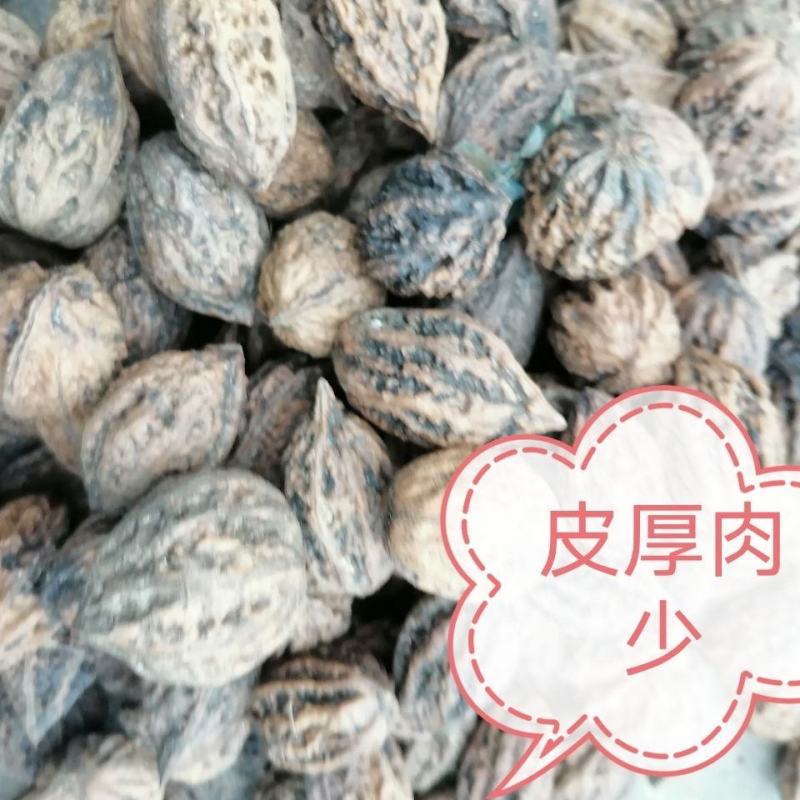 山核桃药用干货山核桃皮厚仁少农副产品