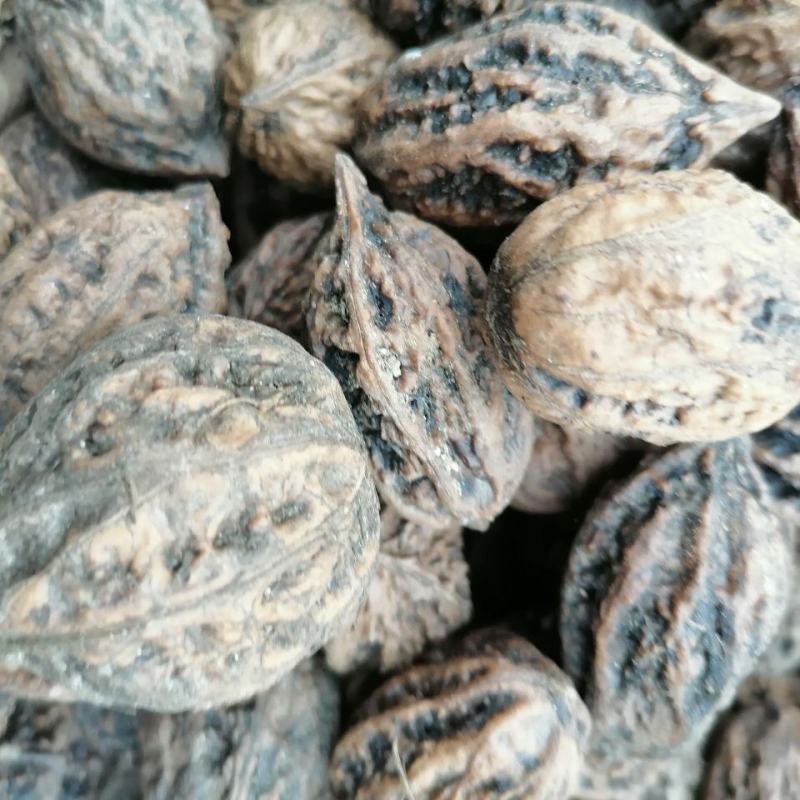 山核桃药用干货山核桃皮厚仁少农副产品