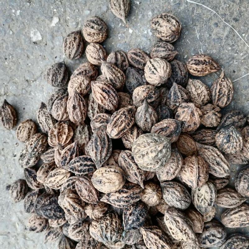 山核桃药用干货山核桃皮厚仁少农副产品