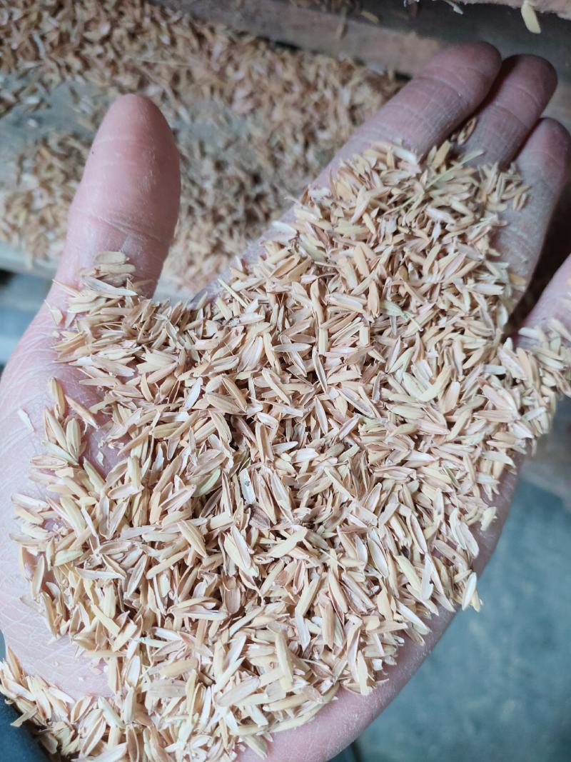 稻壳厂家直销广西桂林新鲜谷壳除尘谷壳，无霉变日产60吨