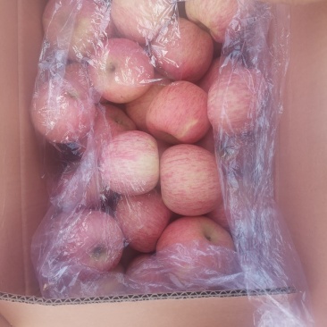 山东沂源高源红富士苹果大量出库，价格美丽，需要的联系