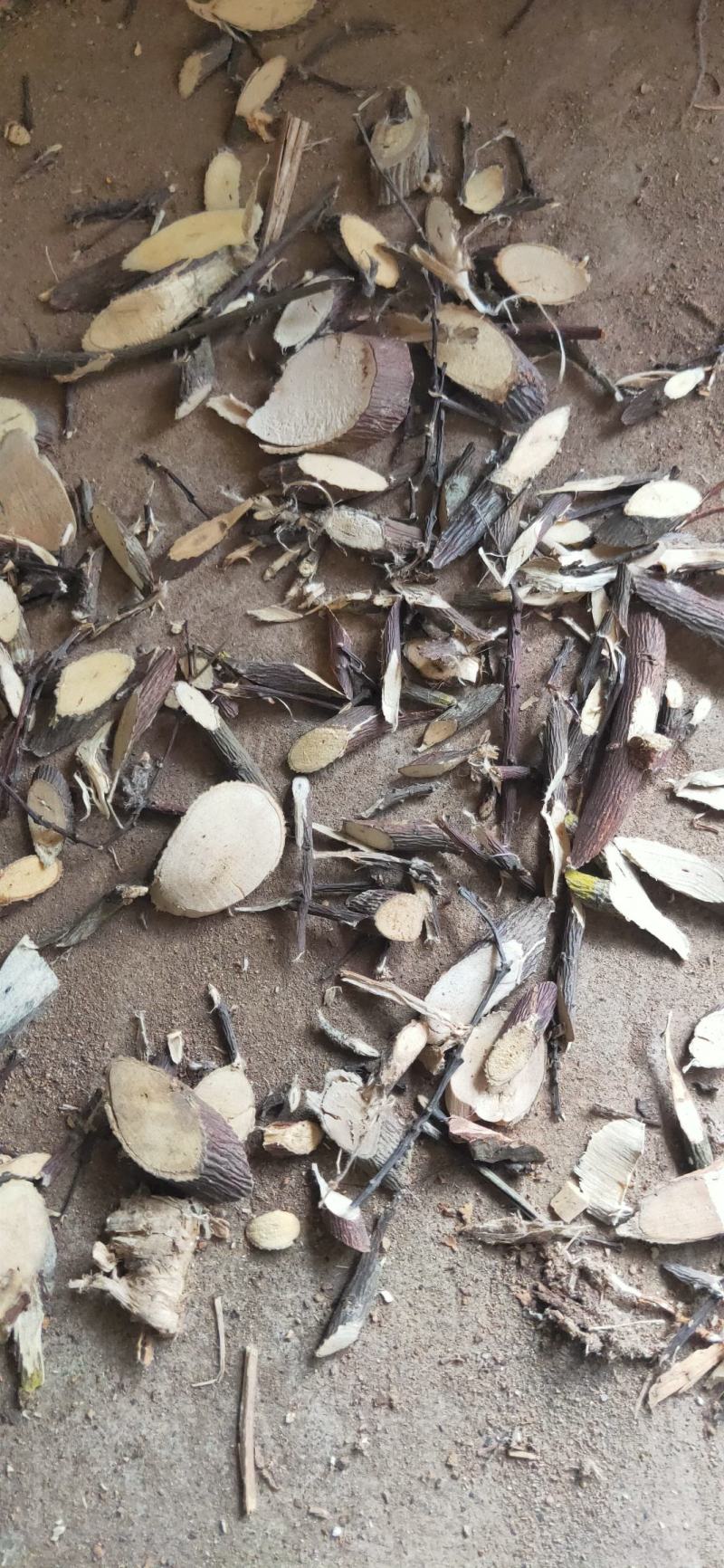 了哥王段了哥王片需量大可以协商价格