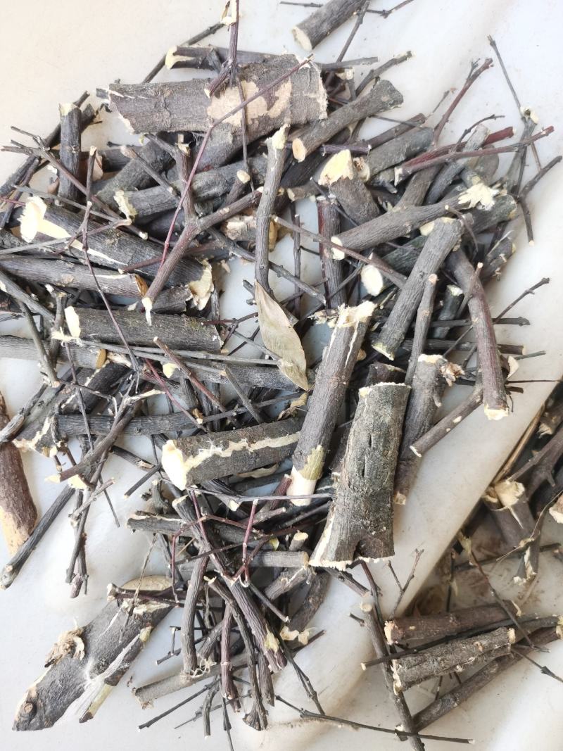 了哥王段了哥王片需量大可以协商价格