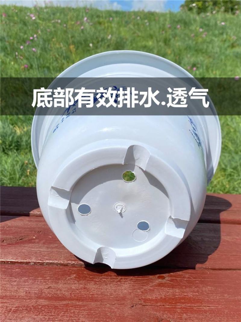 环保加厚绿萝盆栽花盆特价育苗盆室内圆形绿植塑料大花盆