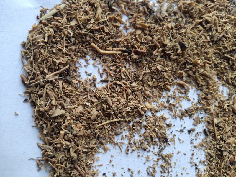 远志肉碎渣批发零售诚信经营量大从优支持混