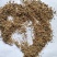 远志肉碎渣批发零售诚信经营量大从优支持混