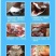 青黄背甲鱼活体王八水鱼团鱼鳖中华鳖苗活体食用海鲜鲜活