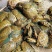 青黄背甲鱼活体王八水鱼团鱼鳖中华鳖苗活体食用海鲜鲜活