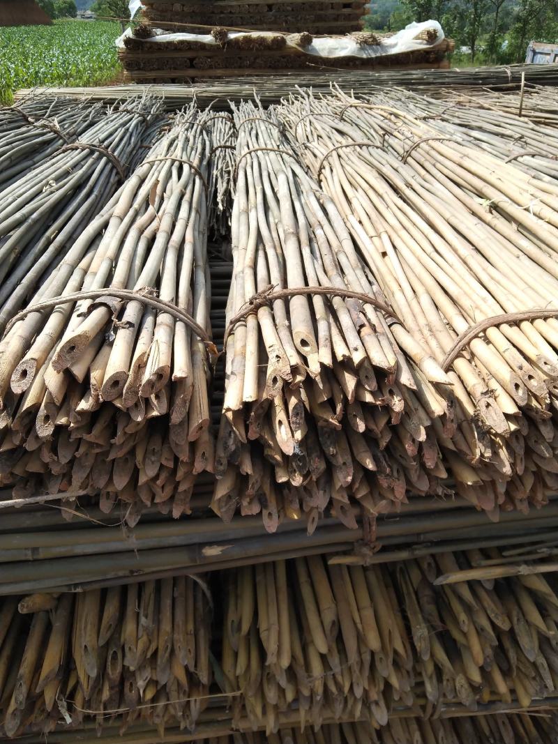 陇南木竹，西红柿架杆，豆角架杆，质量好，可用三至五年