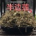 【牛商推荐】半边莲无硫中药材半边花细米草中药材无硫