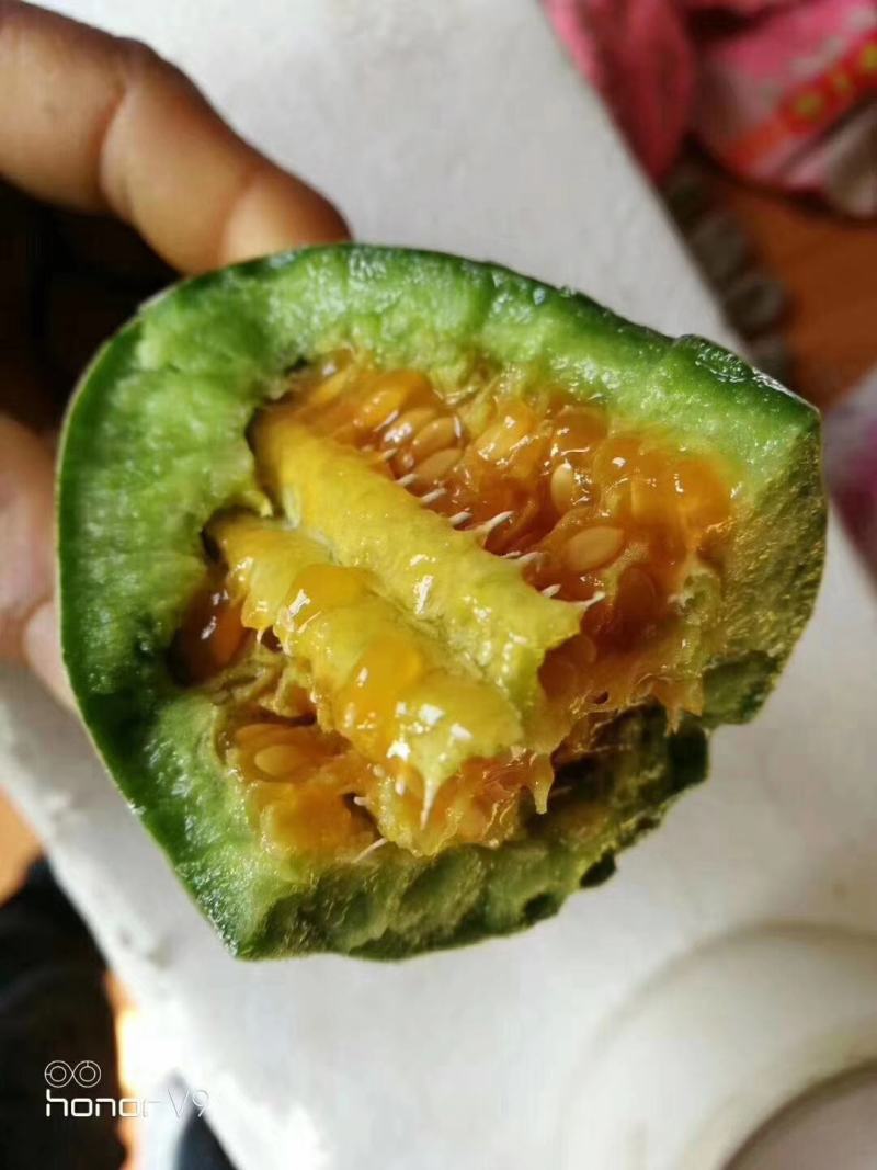 羊角蜜甜瓜羊角瓜博洋九脆甜多汁现摘现发承接电商一件代发业