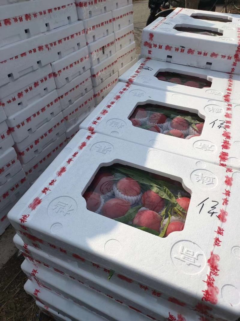 河北省乐亭县有万亩棚桃大量上市欢迎新朋友前来合作。