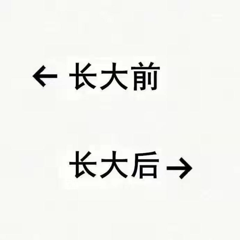 台湾泥鳅鱼苗,技术指导跟踪，鱼场直供，可来场地看苗。