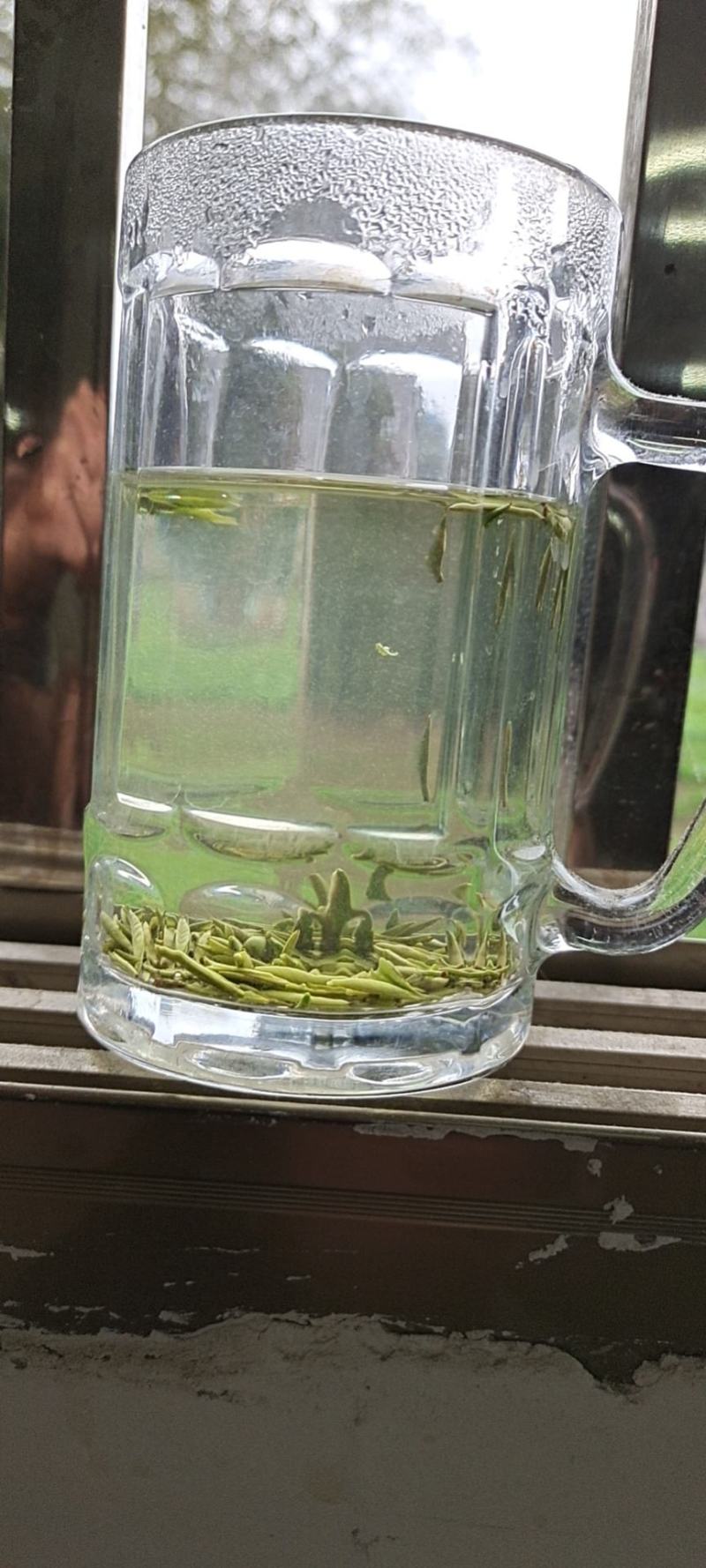 明前特早，一壶清茶悟人生