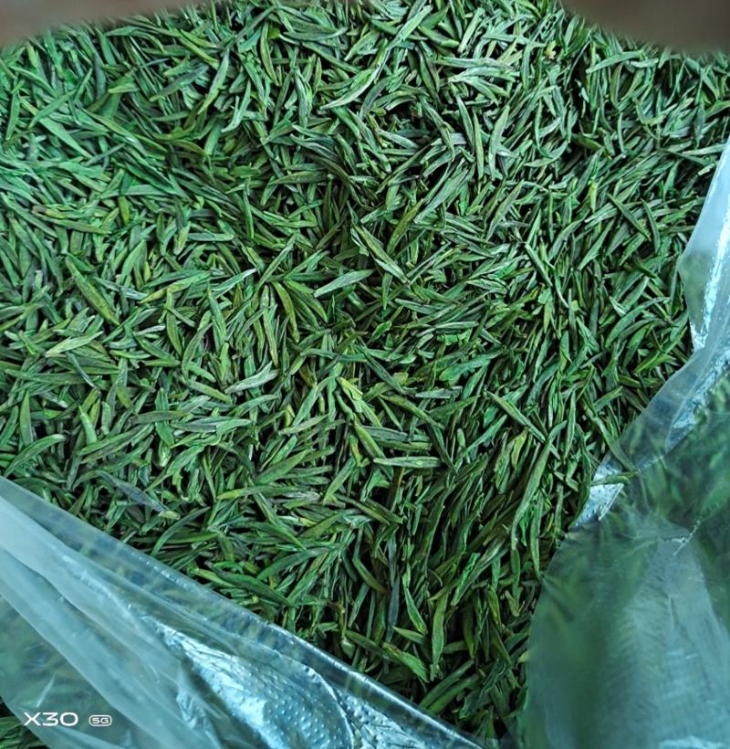 明前特早，一壶清茶悟人生
