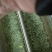 明前特早，一壶清茶悟人生