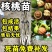 核桃树苗美国碧根果树苗嫁接苗核桃苗长寿果当年结果南方北方