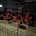 大公鸡母鸡各种肉鸡批发