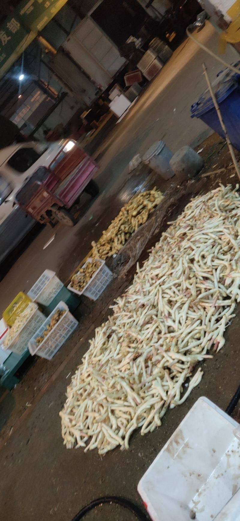 威远姜仔姜锅炉姜代购。